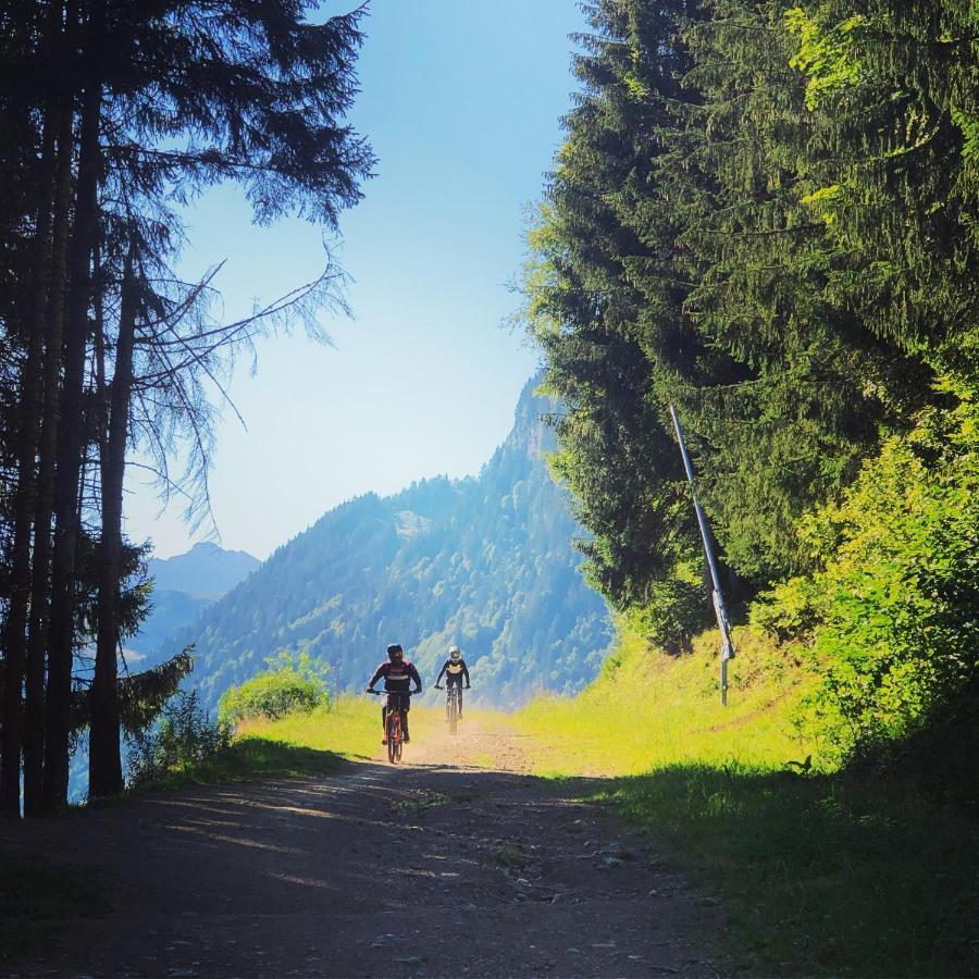 'Petite Ferme Les Bouts' Apartment, Sleeps 6, Nr Morzine La Cote d'Arbroz Exteriör bild