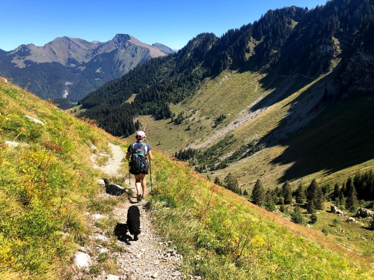 'Petite Ferme Les Bouts' Apartment, Sleeps 6, Nr Morzine La Cote d'Arbroz Exteriör bild