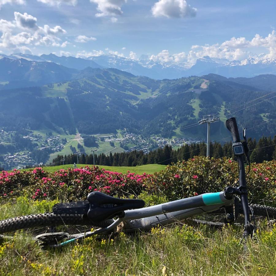 'Petite Ferme Les Bouts' Apartment, Sleeps 6, Nr Morzine La Cote d'Arbroz Exteriör bild